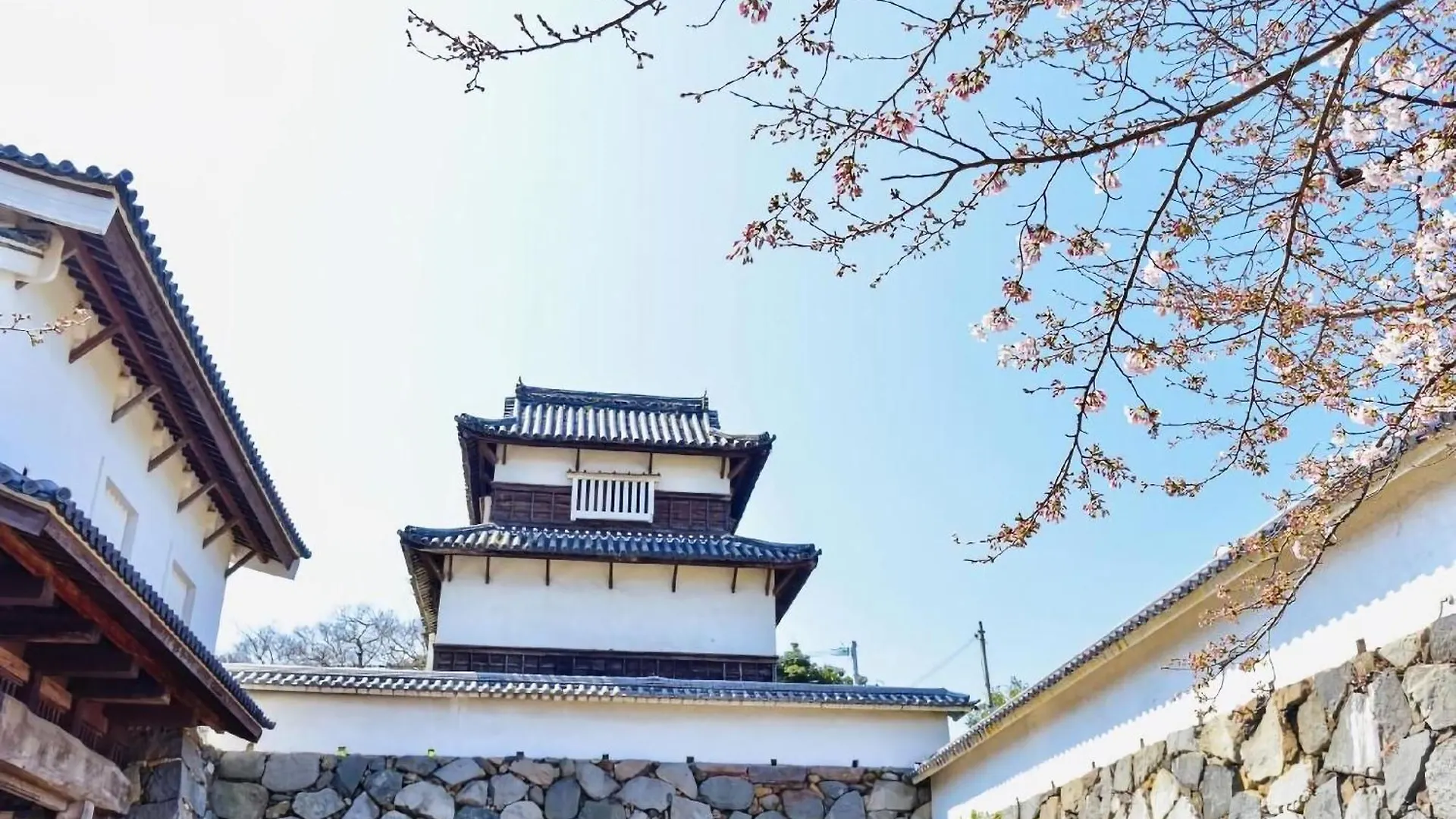 Zonk Hotel Haruyoshi Fukuoka   Fukuoka (Fukuoka)